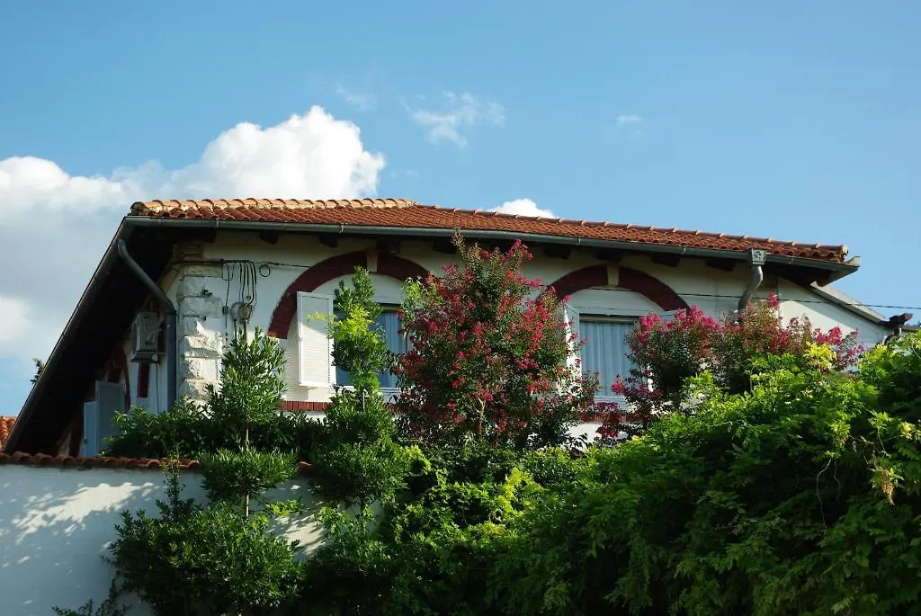 ***  Hotel Sveti Benedikt Croatia